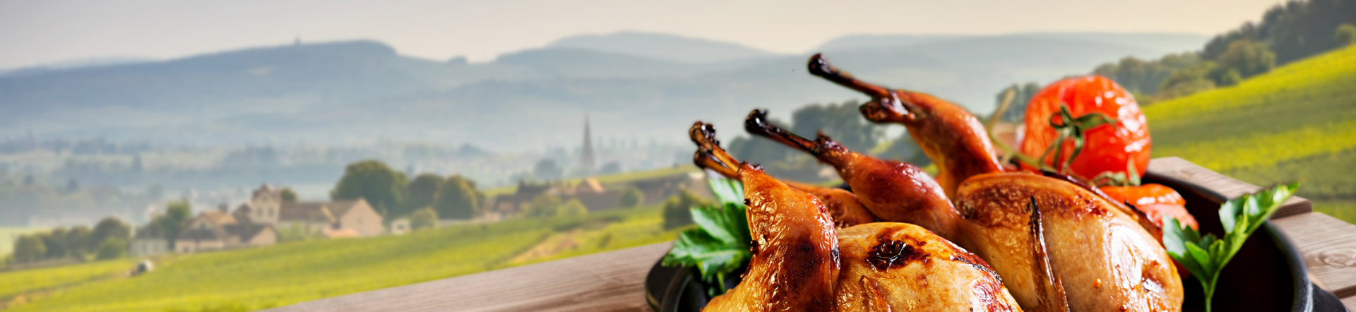 Viande de gibier pour vos repas du quotidien - Terre de Gallie